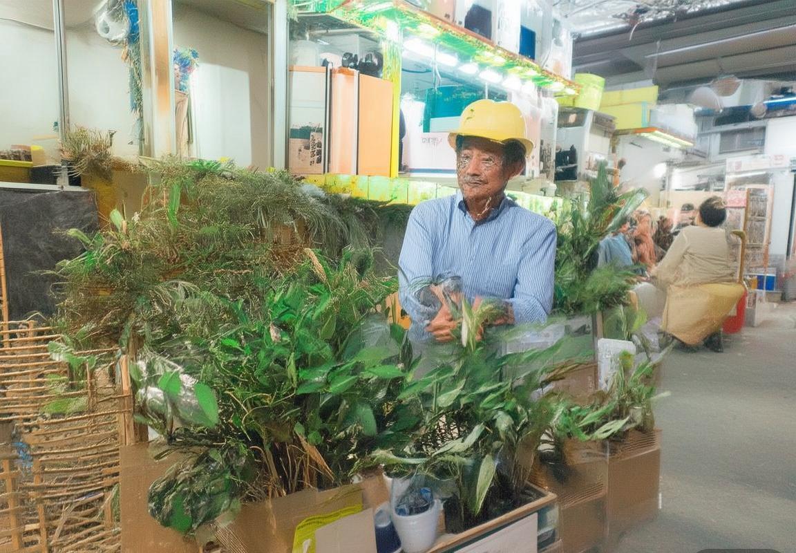 巴塞罗那VS皇家社会：积分榜激战，战术对决与心理较量(图1)